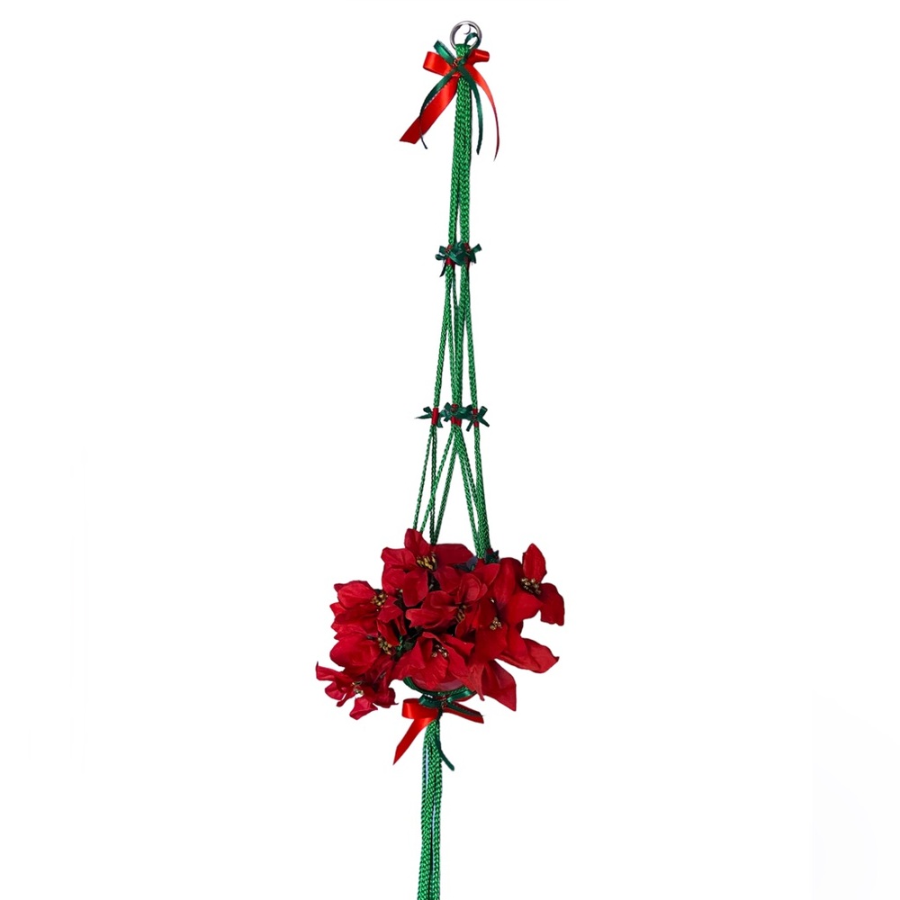 Plant Hanger Green and Red Color